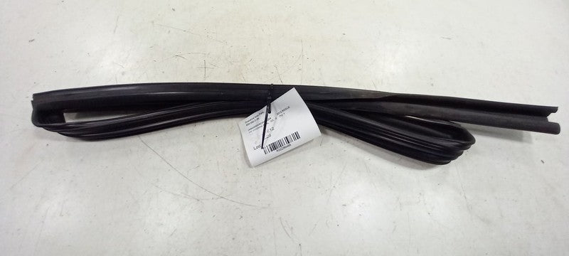 Nissan Rogue Door Glass Window Seal Rubber Right Passenger Rear Back 2
