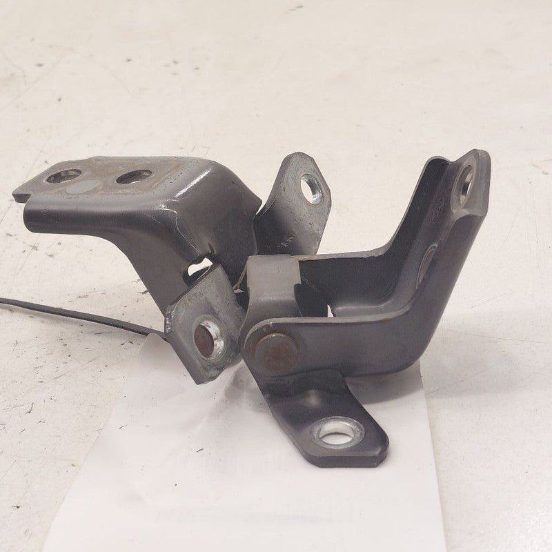 Mazda 6 Door Hinge Set Right Front Passenger  2018 2019 2020 2021