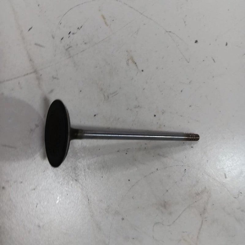 Jeep Compass 2.4 Cylinder Head Intake Valve 2017 2018 2019 2020 2021 2022 2023