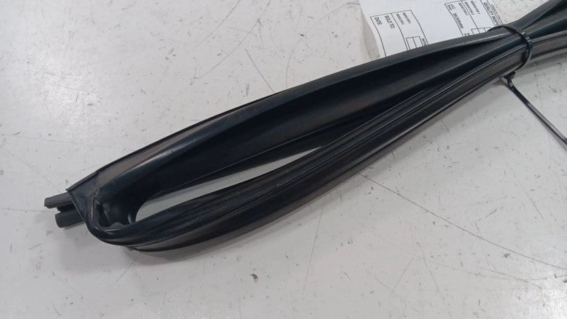 Infiniti G37 Door Glass Window Seal Rubber Right Passenger Rear Back  2011 2012 