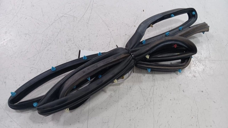 Dodge Dart On Door Seal Rubber Right Passenger Rear Back  2013 2014 2015 2016