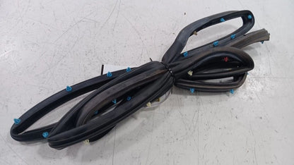 Dodge Dart On Door Seal Rubber Right Passenger Rear Back  2013 2014 2015 2016