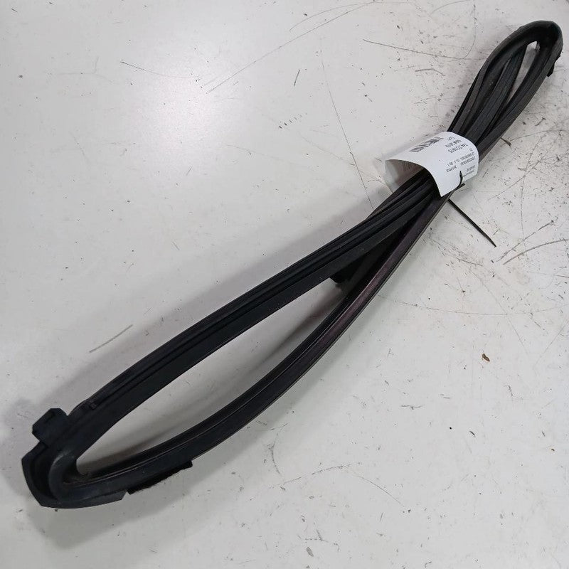 Toyota Prius C Door Glass Window Seal Rubber Left Driver Front  2017 2