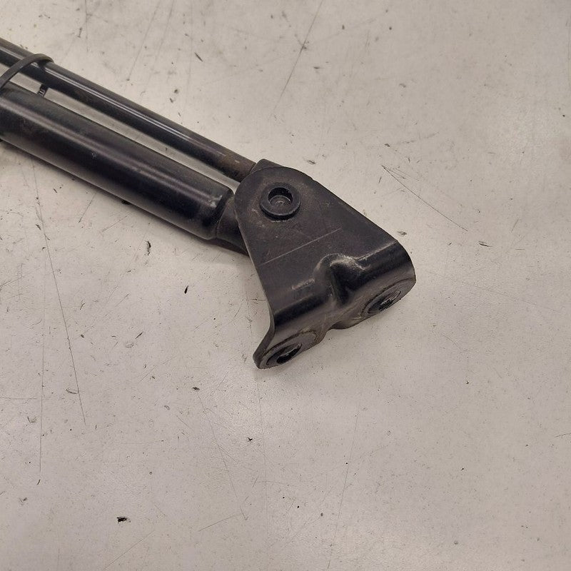 Ford Escape Hatchback Hatch Back Trunk Lid Shock Strut Support  2020 2