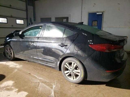 Hyundai Elantra On Body Door Jamb Seal Front Right Passenger  2017 201