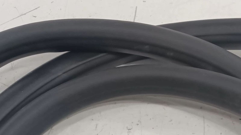 Chevy Volt On Body Door Jamb Seal Rear Left Back  2011 2012 2013 2014 