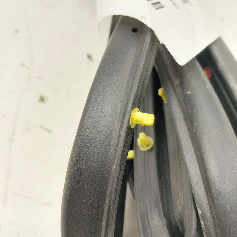 Nissan Versa On Door Seal Rubber Left Driver Front  2024 2023 2022 202