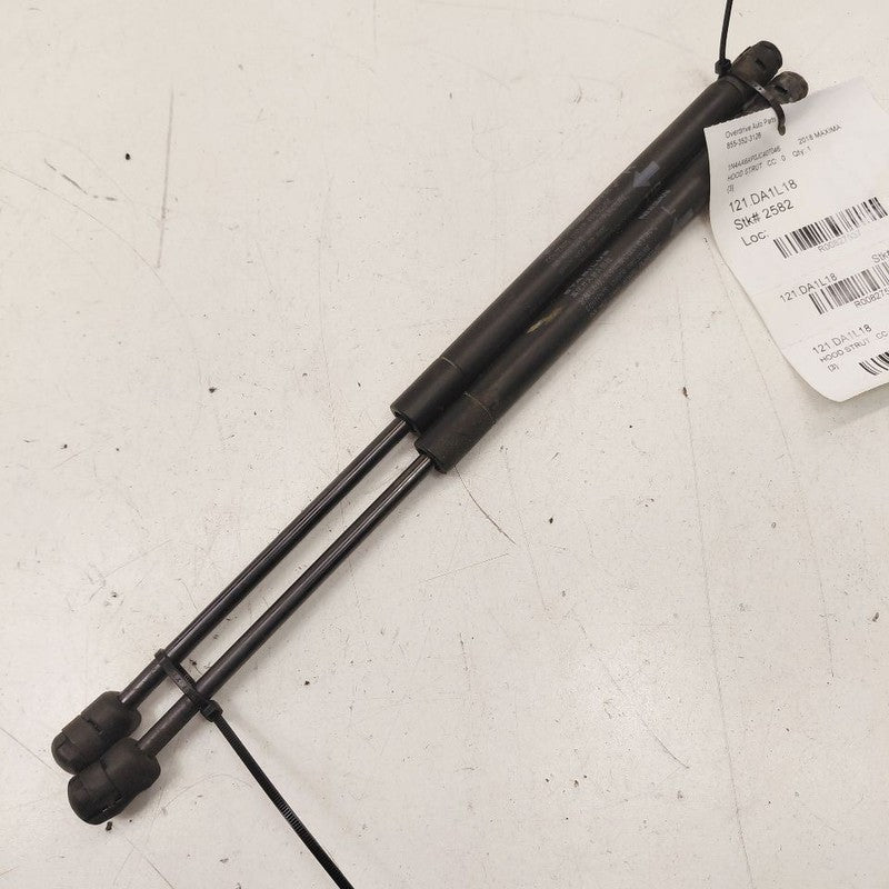 Nissan Maxima Hood Strut Shock Support  2018 2017 2016 OEM
