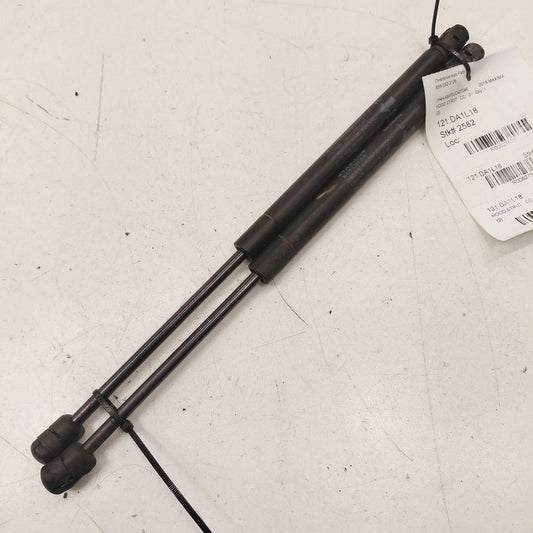 Nissan Maxima Hood Strut Shock Support  2018 2017 2016 OEM