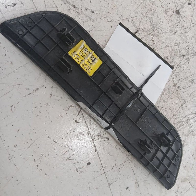 Hyundai Elantra Sill Trim Plate Door Jam Threshold Right Passenger Rea