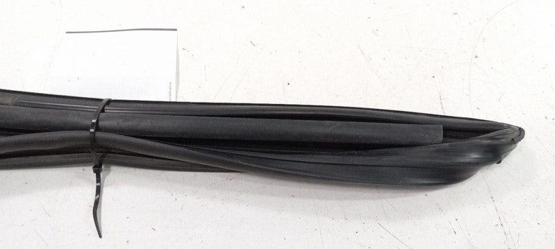 Cadillac CTS Door Glass Window Seal Rubber Right Front Passenger 2011 