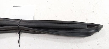 Cadillac CTS Door Glass Window Seal Rubber Right Front Passenger 2011 