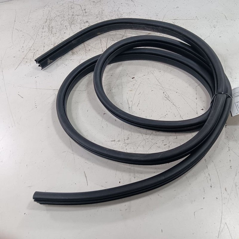 Ford Escape On Body Door Jamb Seal Front Right Passenger  2019 2018 20