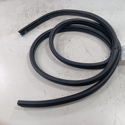 Ford Escape On Body Door Jamb Seal Front Right Passenger  2019 2018 20