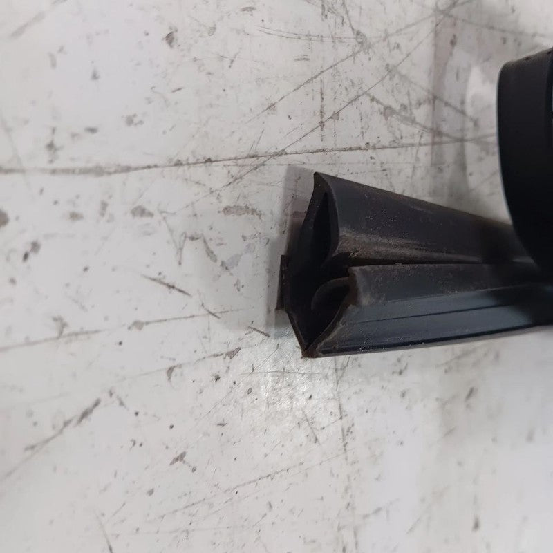 Nissan LEAF Door Glass Window Seal Rubber Left Driver Front  2013 2014