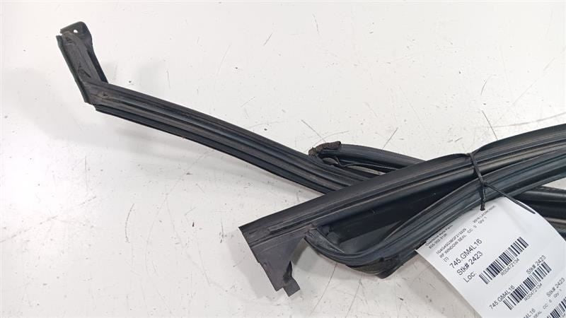 Buick Lacrosse Door Glass Window Seal Rubber Right Passenger Front 201