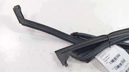 Buick Lacrosse Door Glass Window Seal Rubber Right Passenger Front 201