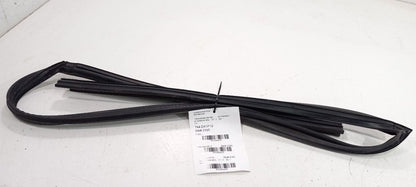 2012 Nissan Maxima Door Glass Window Seal Rubber Left Driver Front
