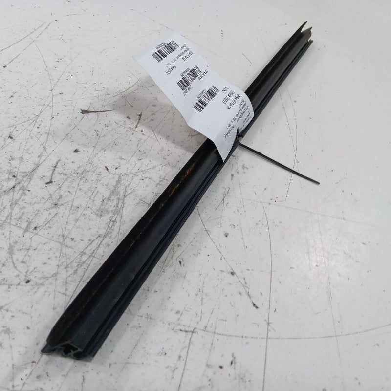 Fiat 500 Right Front Weather Strip Interior 2018