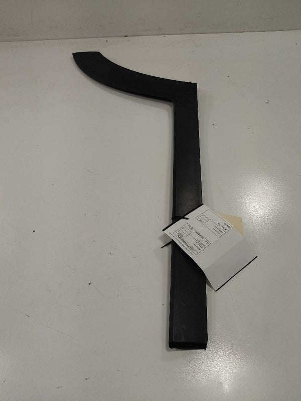 Hyundai Tucson Door Molding Trim Strip Left Driver Side Rear Back 2016