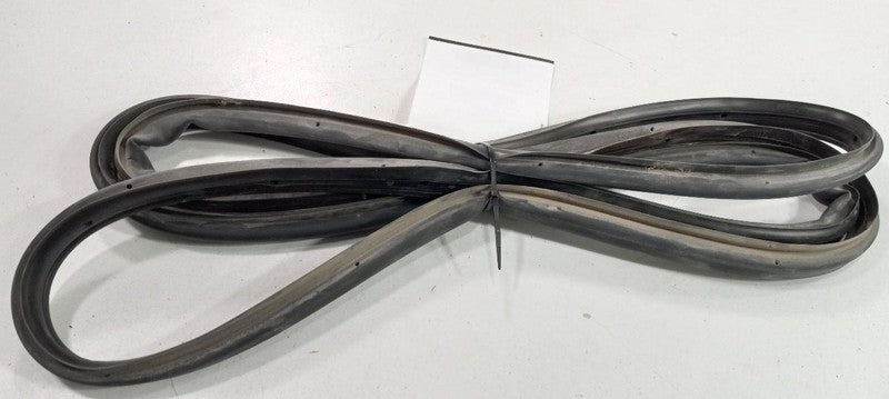 Chevy Cruze On Door Seal Rubber Left Rear Back 2016 2017 2018 OEM