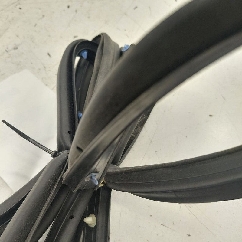 Chevy Volt On Door Seal Rubber Left Driver Rear Back  2016 2017 2018 2