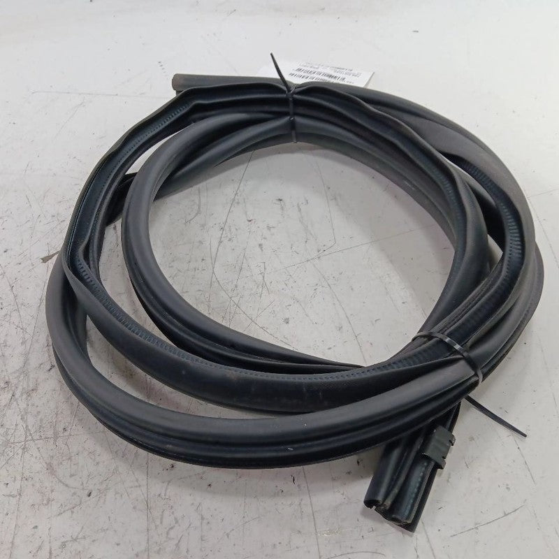 Nissan Kicks On Body Door Jamb Seal Rear Left Back  2021 2022 2023 2024