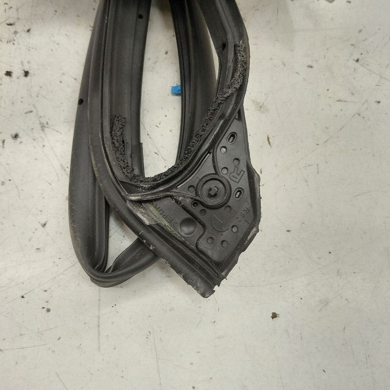 Honda HR-V On Door Seal Rubber Right Passenger Front  2026 2025 2024 2