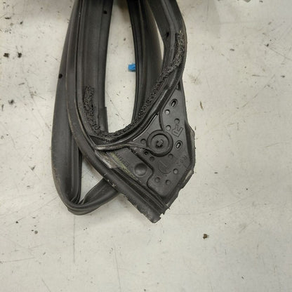 Honda HR-V On Door Seal Rubber Right Passenger Front  2026 2025 2024 2