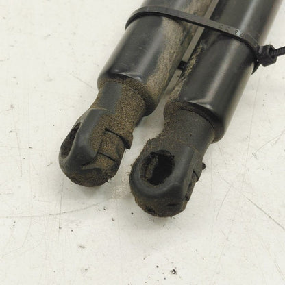 Ford Escape Hatchback Hatch Back Trunk Lid Shock Strut Support  2022 2