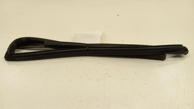Nissan Sentra Door Glass Window Seal Rubber Left Rear Back 2008 2009 2010 2011