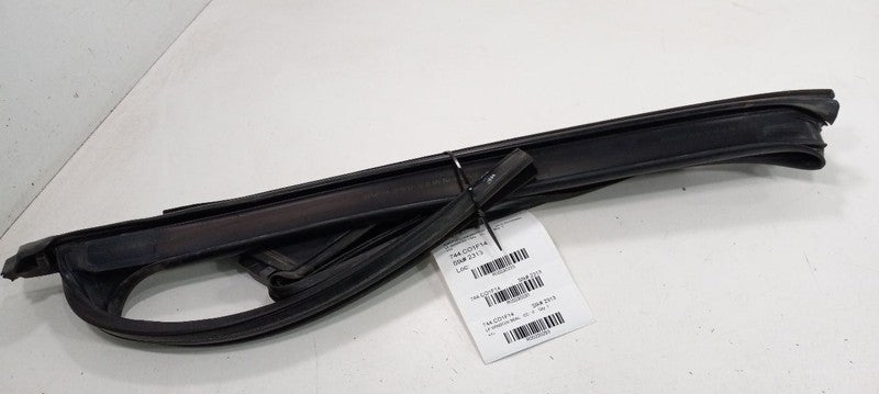 Mini Cooper Paceman Door Glass Window Seal Rubber Left Driver Front 20