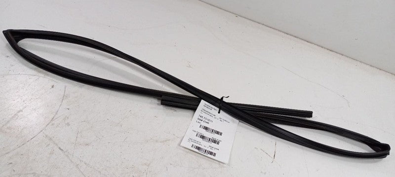 Toyota Corolla Door Glass Window Seal Rubber Right Passenger Front 201