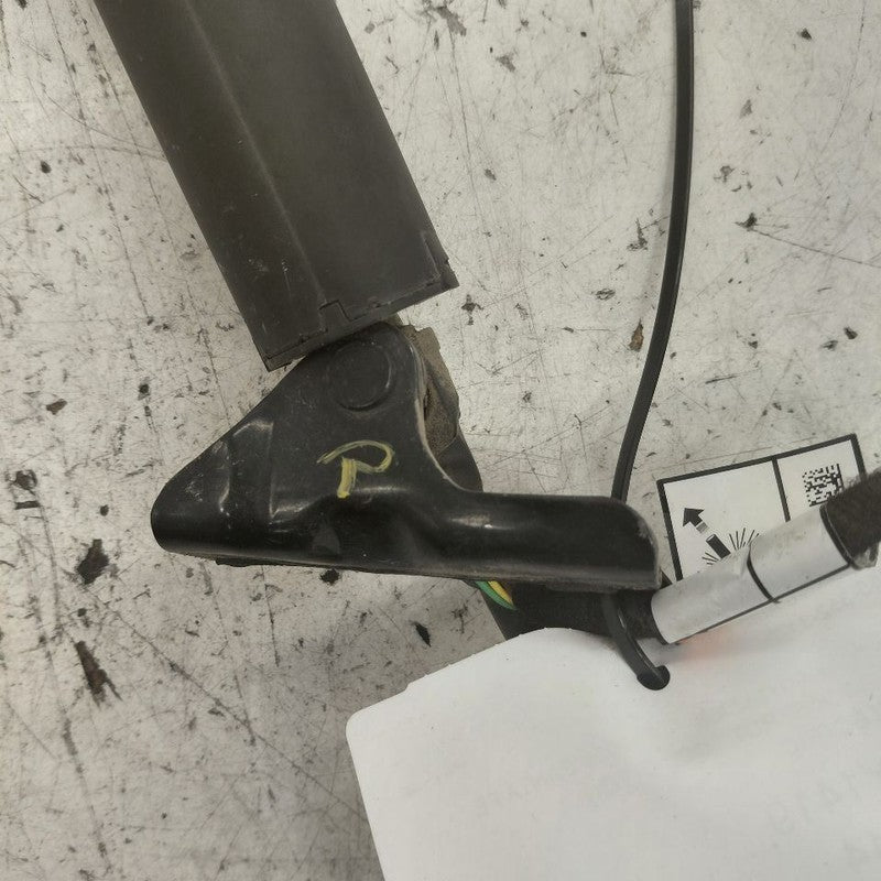 Hyundai Santa Fe Passenger Right Hatchback Trunk Lid Electric Shock St