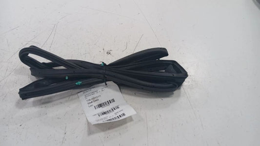 Honda Civic On Door Seal Rubber Right Passenger Rear Back  2016 2017 2018 2019