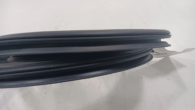 Chrysler 200 On Body Door Jamb Seal Rear Left Back  2015 2016 2017 OEM