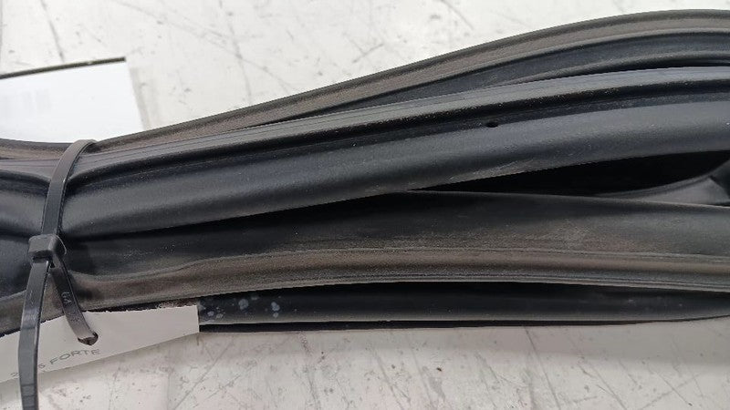 Kia Forte On Door Seal Rubber Right Passenger Rear Back  2014 2015 2016