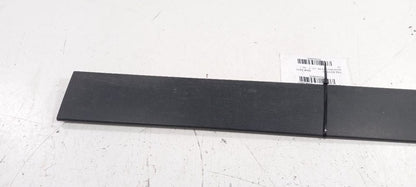 Subaru Tribeca Door Molding Trim Strip Right Passenger Side Rear Back 