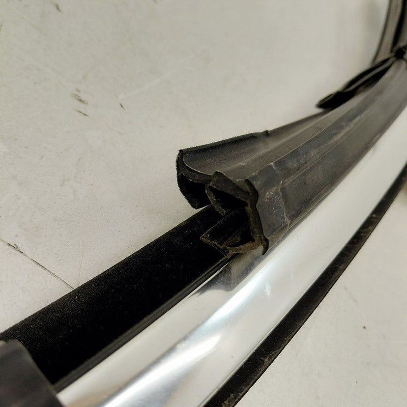 Cadillac XTS Door Glass Window Seal Rubber Right Passenger Front      