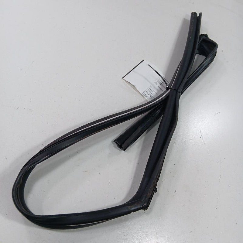 Mitsubishi Outlander Door Glass Window Seal Rubber Left Driver Front  