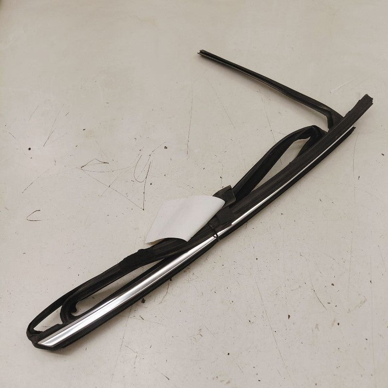 Cadillac XTS Door Glass Window Seal Rubber Left Driver Rear Back      