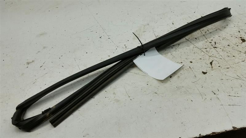 XB Scion Door Glass Window Seal Rubber Right Passenger Front 2010 2011
