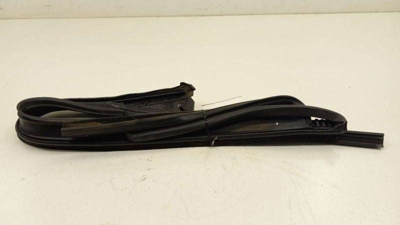 Mini Cooper Countryman Door Glass Window Seal Rubber Right Passenger R