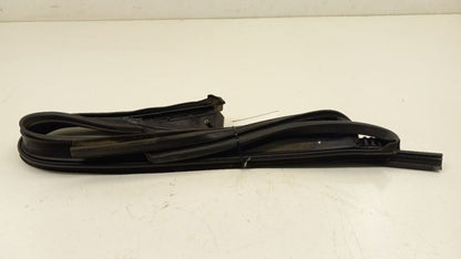 Mini Cooper Countryman Door Glass Window Seal Rubber Right Passenger R