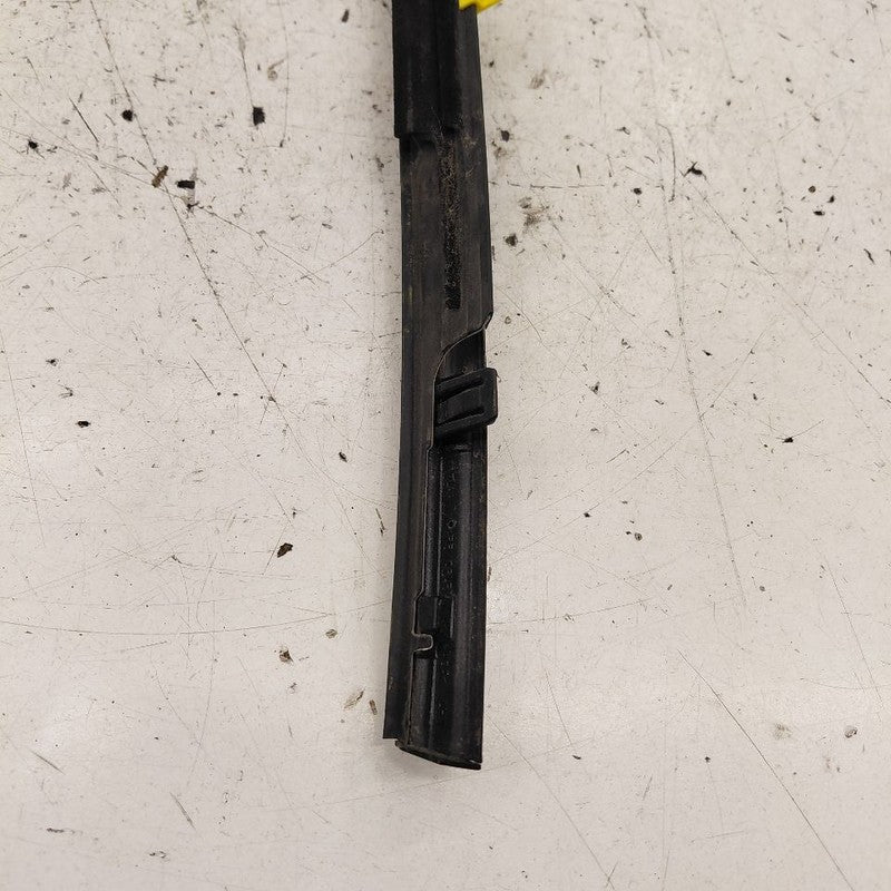 Honda CR-V Door Glass Window Weather Strip Trim Rear Left Driver Back 