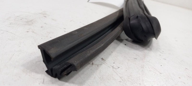 Scion XA Door Glass Window Seal Rubber Right Passenger Rear Back 2004 