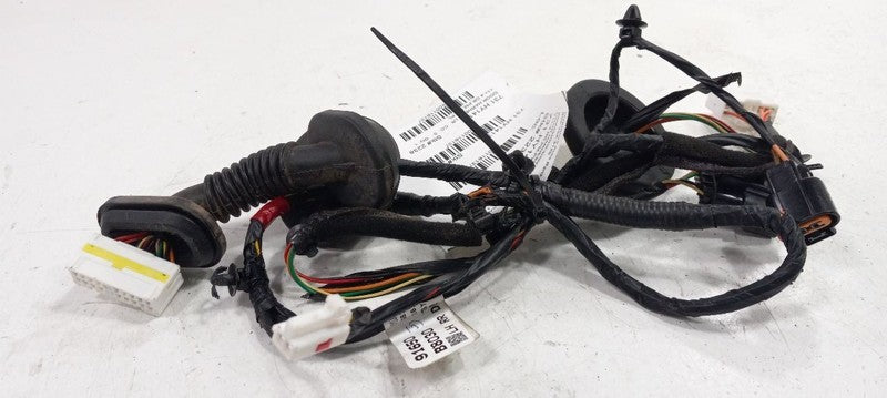 Hyundai Santa Fe Door Harness Wire Wiring Left Rear 2017 2018 2019 OEM
