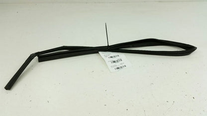 Hyundai Elantra Door Glass Window Seal Rubber Gasket Left Rear Back 2010 2009