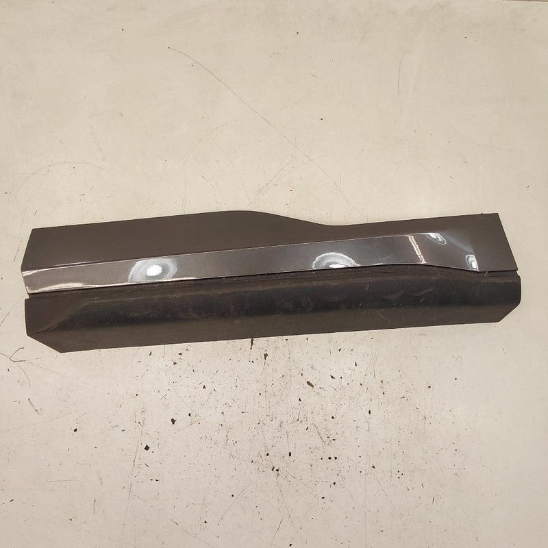 Ford Edge Door Molding Trim Strip Left Driver Side Rear Back 2019 2020