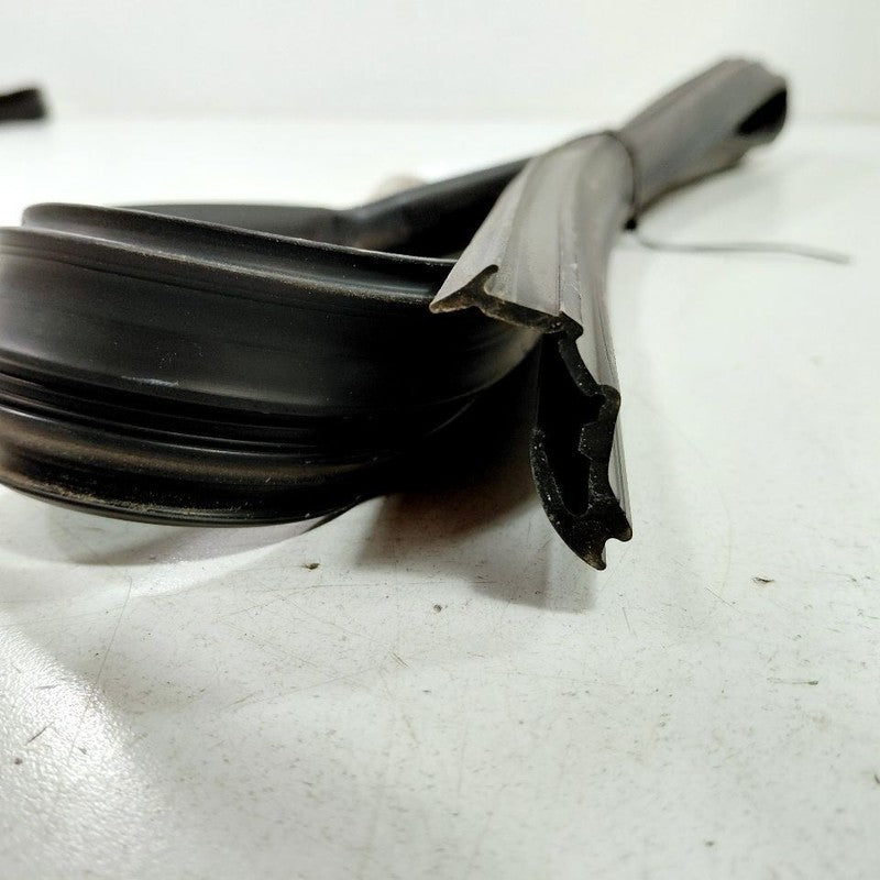 Hyundai Sonata Door Glass Window Seal Rubber Right Passenger Rear Back